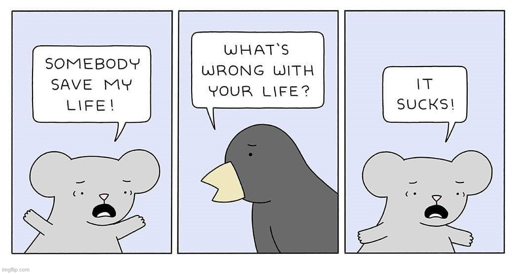 My life | image tagged in comics/cartoons | made w/ Imgflip meme maker