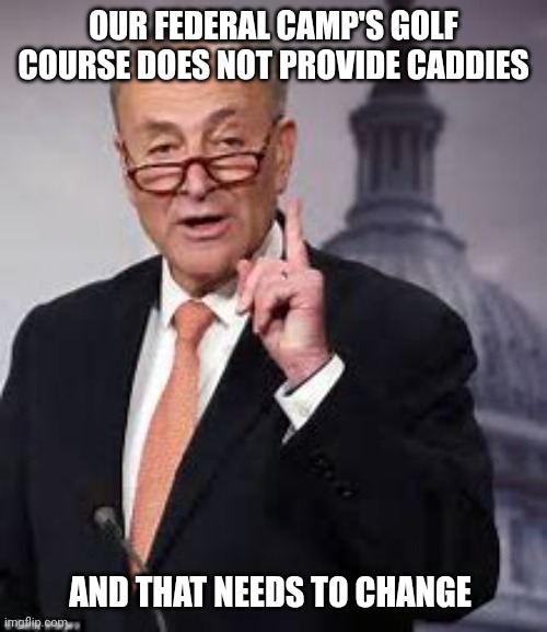 Schumer | OUR FEDERAL CAMP'S GOLF COURSE DOES NOT PROVIDE CADDIES AND THAT NEEDS TO CHANGE | image tagged in schumer | made w/ Imgflip meme maker