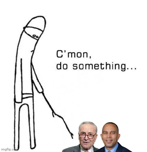 Democratic Leadership... Where you at? | image tagged in c mon do something | made w/ Imgflip meme maker