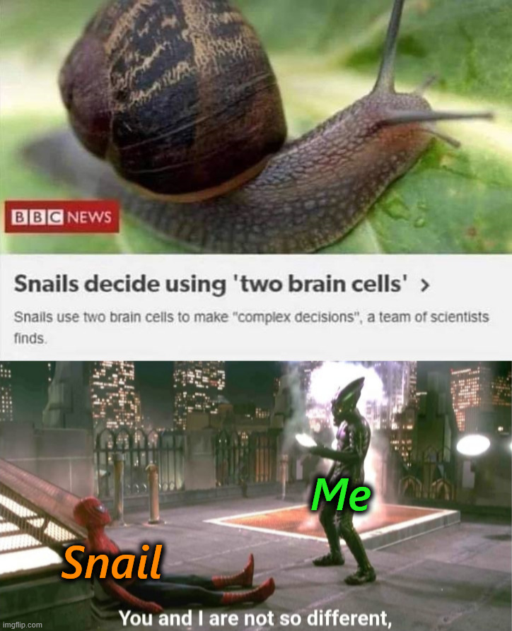 Brain cells are limited | Me; Snail | image tagged in you and i are not so diffrent,snails,brains,relatable memes | made w/ Imgflip meme maker