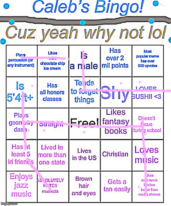 BINGO!!!! | image tagged in caleb s bingo | made w/ Imgflip meme maker