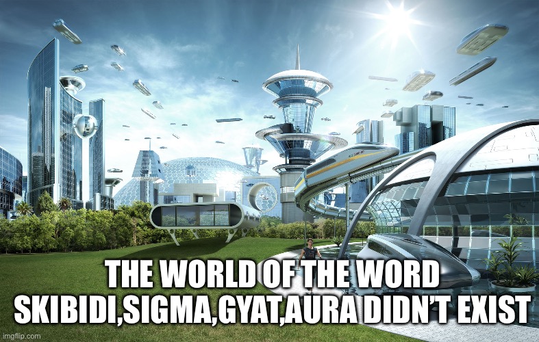 Futuristic Utopia | THE WORLD OF THE WORD SKIBIDI,SIGMA,GYAT,AURA DIDN’T EXIST | image tagged in futuristic utopia | made w/ Imgflip meme maker