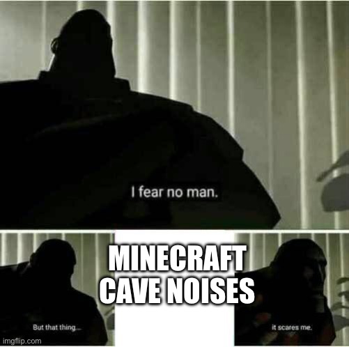 it scares me | MINECRAFT CAVE NOISES | image tagged in it scares me | made w/ Imgflip meme maker