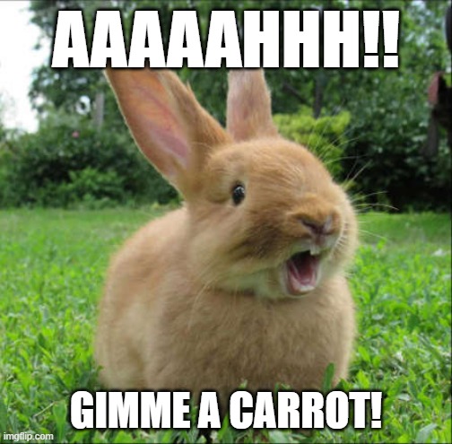 Better hurry... | AAAAAHHH!! GIMME A CARROT! | image tagged in bunny,frustration,laugh | made w/ Imgflip meme maker