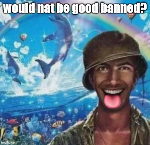 freaky 1000 yard symphony | would nat be good banned? | image tagged in freaky 1000 yard symphony | made w/ Imgflip meme maker