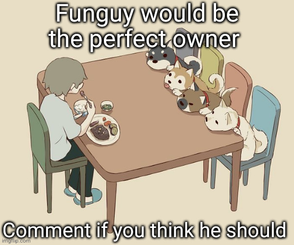 I am DEFINENTLY right | Funguy would be the perfect owner; Comment if you think he should | image tagged in avogado6,funguy,msmg,mods,owners,streams | made w/ Imgflip meme maker