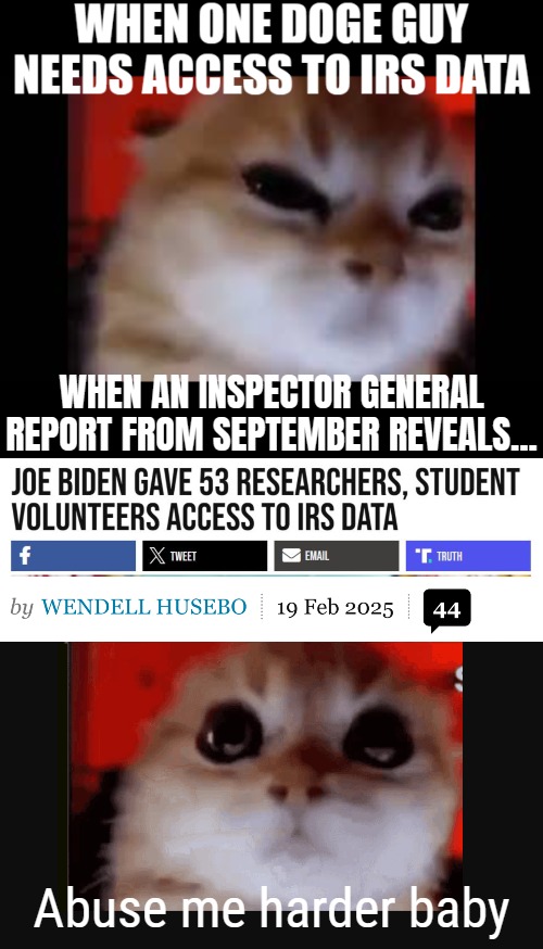 -"and hundreds of additional individuals". Unmasked data, which is your most personal data | WHEN AN INSPECTOR GENERAL REPORT FROM SEPTEMBER REVEALS... Abuse me harder baby | image tagged in doge,democrats,american politics | made w/ Imgflip meme maker