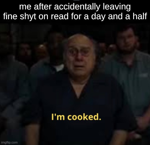 I'm cooked meme | me after accidentally leaving fine shyt on read for a day and a half | image tagged in i'm cooked meme | made w/ Imgflip meme maker