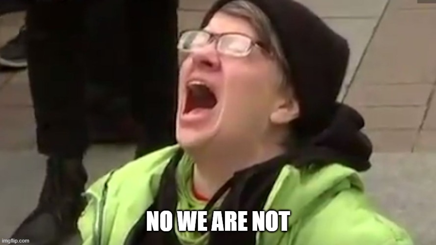 Screaming Liberal  | NO WE ARE NOT | image tagged in screaming liberal | made w/ Imgflip meme maker