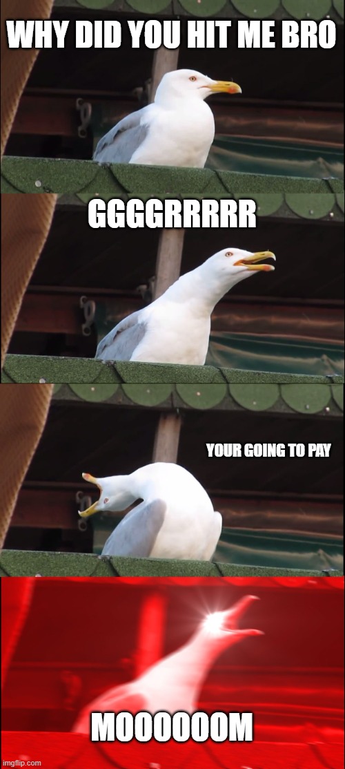 Inhaling Seagull | WHY DID YOU HIT ME BRO; GGGGRRRRR; YOUR GOING TO PAY; MOOOOOOM | image tagged in memes,inhaling seagull | made w/ Imgflip meme maker