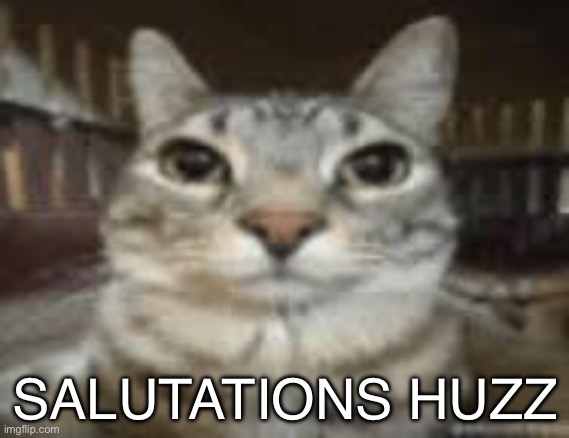 Idk | SALUTATIONS HUZZ | made w/ Imgflip meme maker