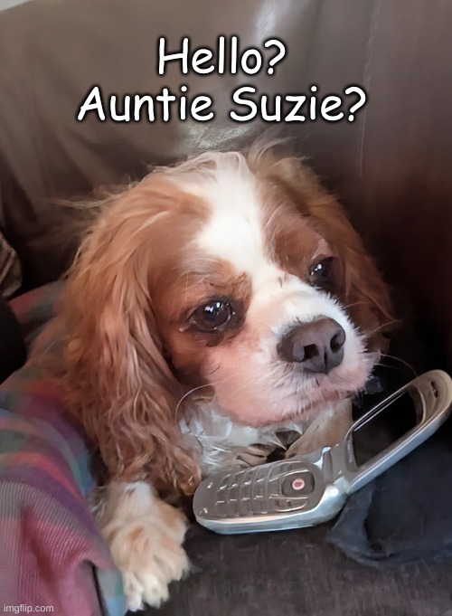 Charlie calling Suz | Hello?
Auntie Suzie? | image tagged in charlie on phone,calling suzie | made w/ Imgflip meme maker