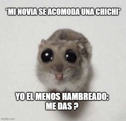 me das | *MI NOVIA SE ACOMODA UNA CHICHI*; YO EL MENOS HAMBREADO:
ME DAS ? | image tagged in memes,memes divertidos,humor | made w/ Imgflip meme maker