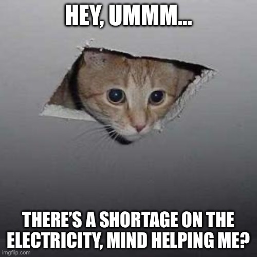 This is Purr you. | HEY, UMMM…; THERE’S A SHORTAGE ON THE ELECTRICITY, MIND HELPING ME? | image tagged in memes,ceiling cat,electricity,ummm,cats | made w/ Imgflip meme maker