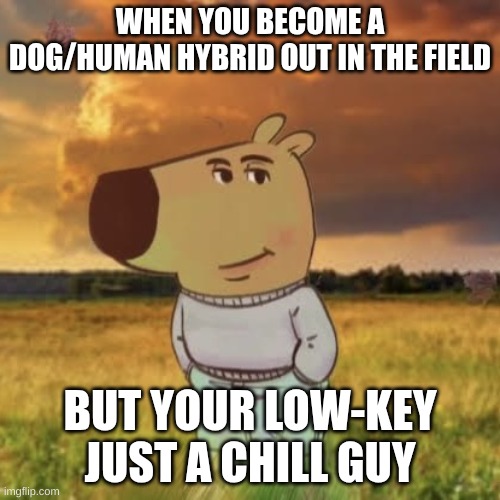 Unfunny meme 3 | WHEN YOU BECOME A DOG/HUMAN HYBRID OUT IN THE FIELD; BUT YOUR LOW-KEY JUST A CHILL GUY | image tagged in chill guy,memes | made w/ Imgflip meme maker