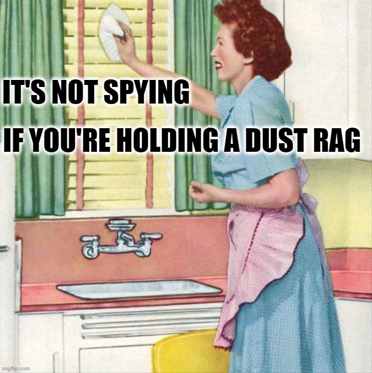 Not snooping | IT'S NOT SPYING; IF YOU'RE HOLDING A DUST RAG | image tagged in spy | made w/ Imgflip meme maker