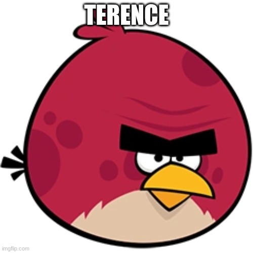 Terence | TERENCE | image tagged in angry birds | made w/ Imgflip meme maker