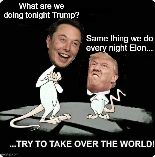 Meanwhile...in Libtard land...what libs think happens in the White House. | What are we doing tonight Trump? Same thing we do every night Elon... | image tagged in donald trump,politics | made w/ Imgflip meme maker