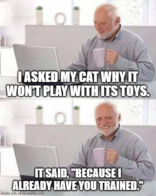 You are Trained | I ASKED MY CAT WHY IT WON'T PLAY WITH ITS TOYS. IT SAID, "BECAUSE I ALREADY HAVE YOU TRAINED." | image tagged in memes,hide the pain harold | made w/ Imgflip meme maker