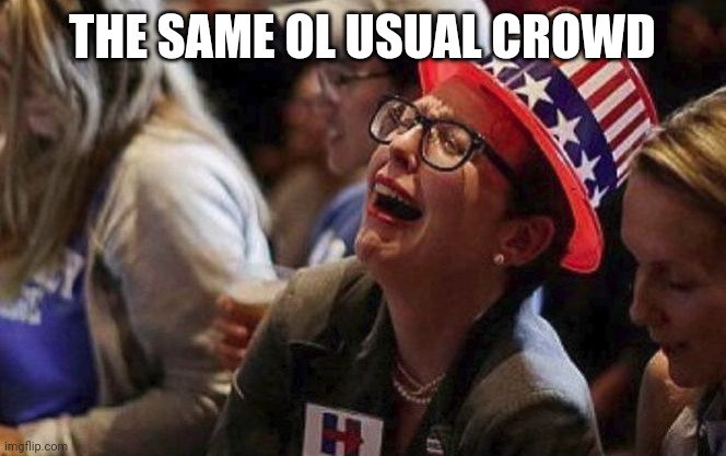 Crying Liberal | THE SAME OL USUAL CROWD | image tagged in crying liberal | made w/ Imgflip meme maker