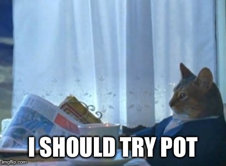 I Should Buy A Boat Cat Meme | I SHOULD TRY POT | image tagged in memes,i should buy a boat cat,AdviceAnimals | made w/ Imgflip meme maker