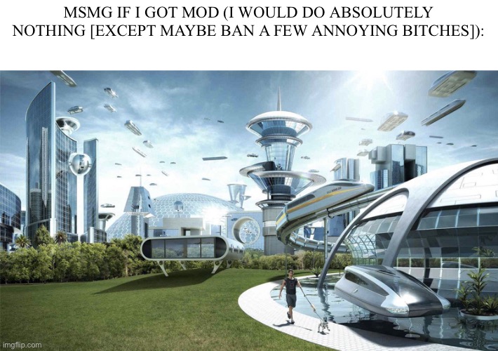 The future world if | MSMG IF I GOT MOD (I WOULD DO ABSOLUTELY NOTHING [EXCEPT MAYBE BAN A FEW ANNOYING BITCHES]): | image tagged in the future world if | made w/ Imgflip meme maker