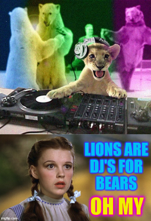 DJ discovery | DJ Anomalous; LIONS ARE
DJ'S FOR
BEARS; OH MY; OH MY | image tagged in dj,lion,bears,dance,wizard of oz,dorothy | made w/ Imgflip meme maker