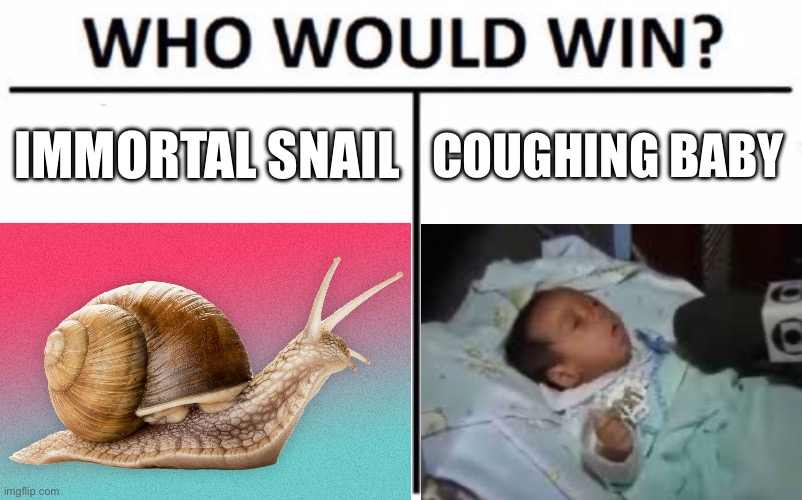 Yes | IMMORTAL SNAIL; COUGHING BABY | image tagged in memes,who would win | made w/ Imgflip meme maker