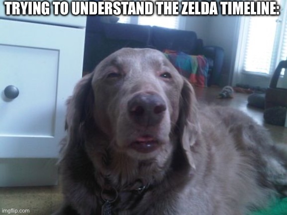 Zelda Timeline | TRYING TO UNDERSTAND THE ZELDA TIMELINE: | image tagged in memes,high dog,legend of zelda,wat | made w/ Imgflip meme maker