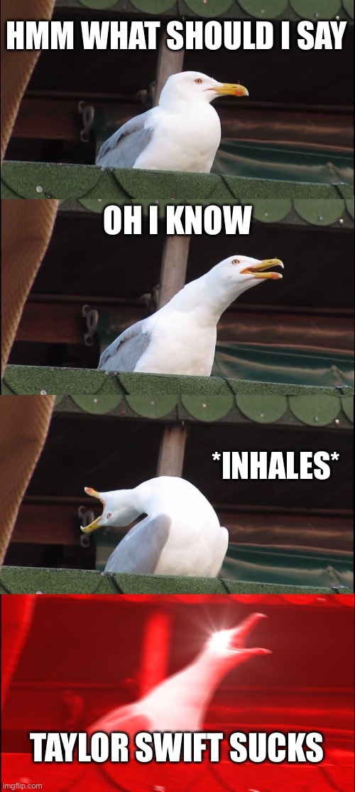 Basic post | HMM WHAT SHOULD I SAY; OH I KNOW; *INHALES*; TAYLOR SWIFT SUCKS | image tagged in memes,inhaling seagull | made w/ Imgflip meme maker