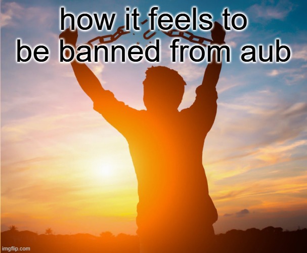 im free | how it feels to be banned from aub | image tagged in man breaking free from chains over the sunset | made w/ Imgflip meme maker