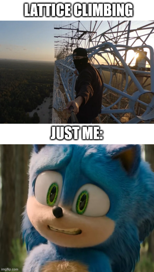 My fear of heights | LATTICE CLIMBING; JUST ME: | image tagged in duga radar,shiey,lattice climbing,sonic the hedgehog,sonic meme,template | made w/ Imgflip meme maker