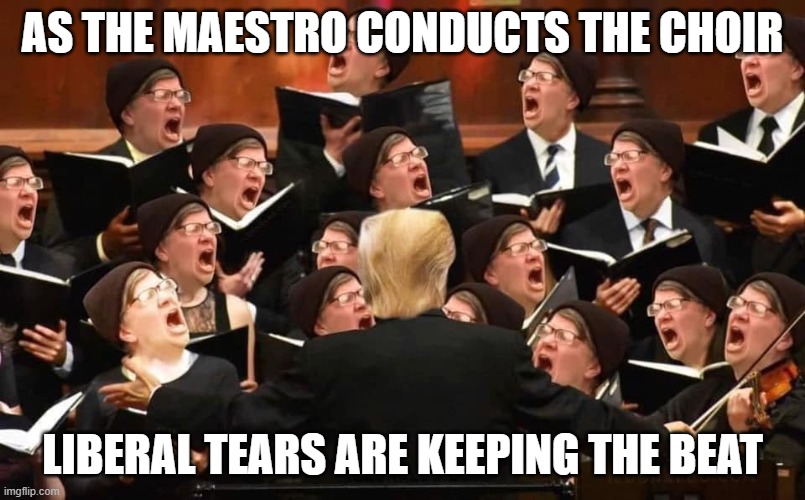 The Maestro Conducts The Choir | AS THE MAESTRO CONDUCTS THE CHOIR; LIBERAL TEARS ARE KEEPING THE BEAT | image tagged in the maestro conducts the choir | made w/ Imgflip meme maker