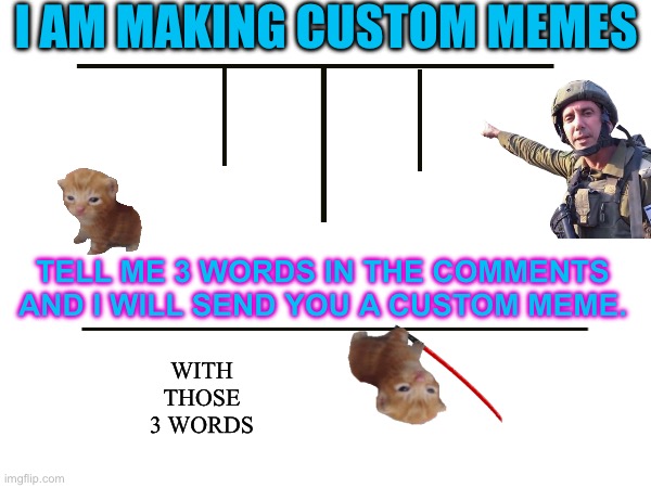 I AM MAKING CUSTOM MEMES; TELL ME 3 WORDS IN THE COMMENTS AND I WILL SEND YOU A CUSTOM MEME. WITH THOSE 3 WORDS | image tagged in memes,funny,no bs,i make you meme you upvote,dank memes,cats | made w/ Imgflip meme maker