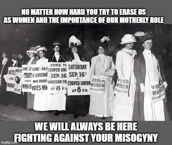 you cannot erase us as women | NO MATTER HOW HARD YOU TRY TO ERASE US AS WOMEN AND THE IMPORTANCE OF OUR MOTHERLY ROLE; WE WILL ALWAYS BE HERE FIGHTING AGAINST YOUR MISOGYNY | made w/ Imgflip meme maker
