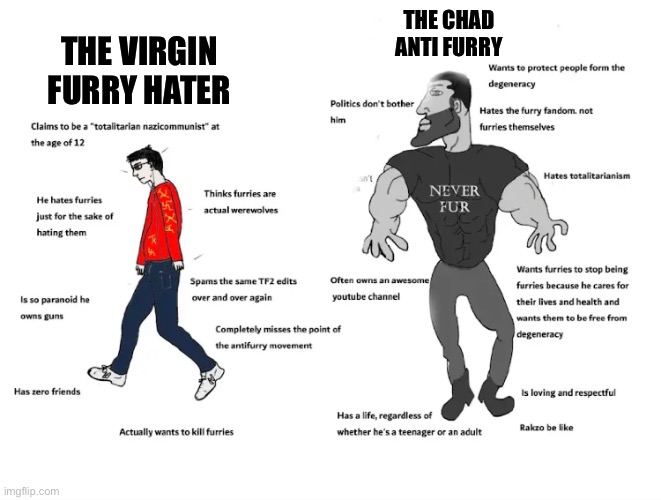 The difference between furry haters and anti furries | THE CHAD ANTI FURRY; THE VIRGIN FURRY HATER | image tagged in anti furry,virgin vs chad,difference | made w/ Imgflip meme maker