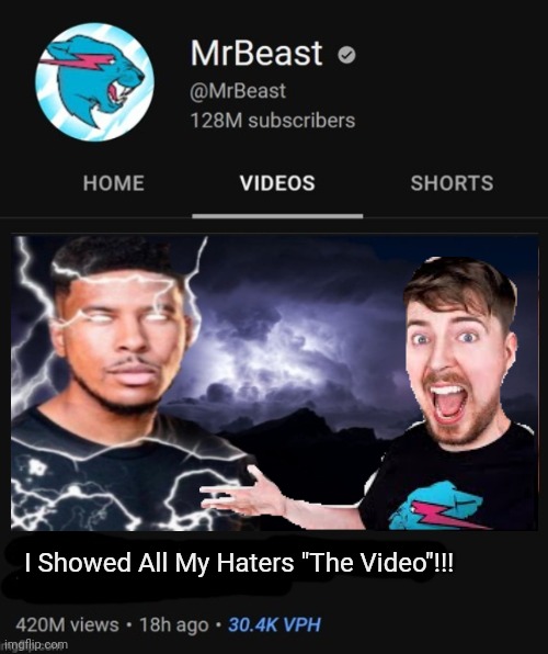 almost accidentally posted in politics | I Showed All My Haters "The Video"!!! | image tagged in mrbeast thumbnail template | made w/ Imgflip meme maker