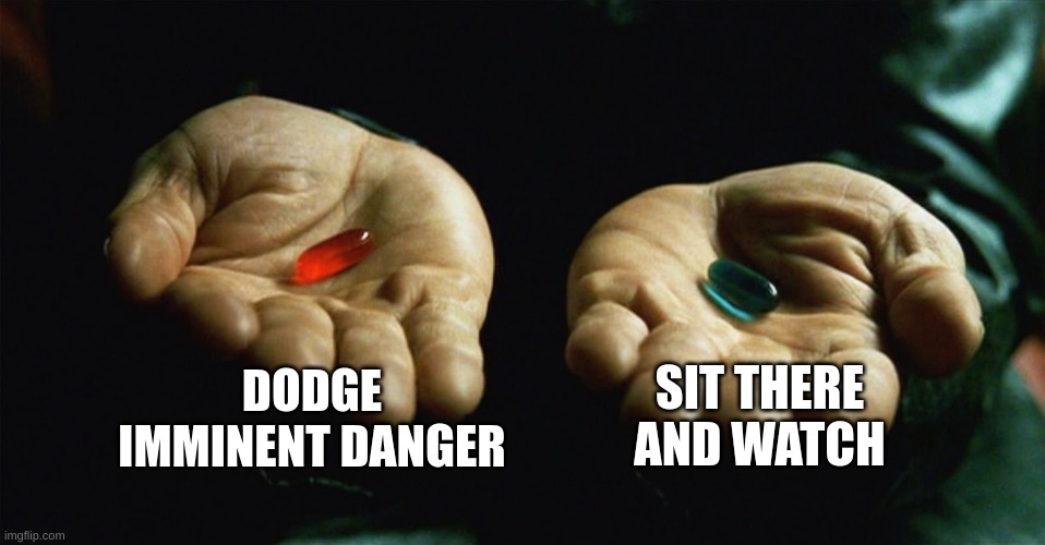 School meme | DODGE IMMINENT DANGER; SIT THERE AND WATCH | image tagged in red pill blue pill | made w/ Imgflip meme maker