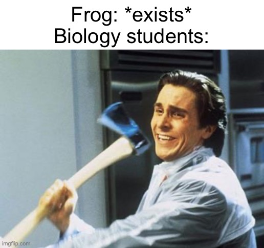 Poor guy | Frog: *exists*
Biology students: | image tagged in american psycho,biology,frog,memes,funny,school | made w/ Imgflip meme maker