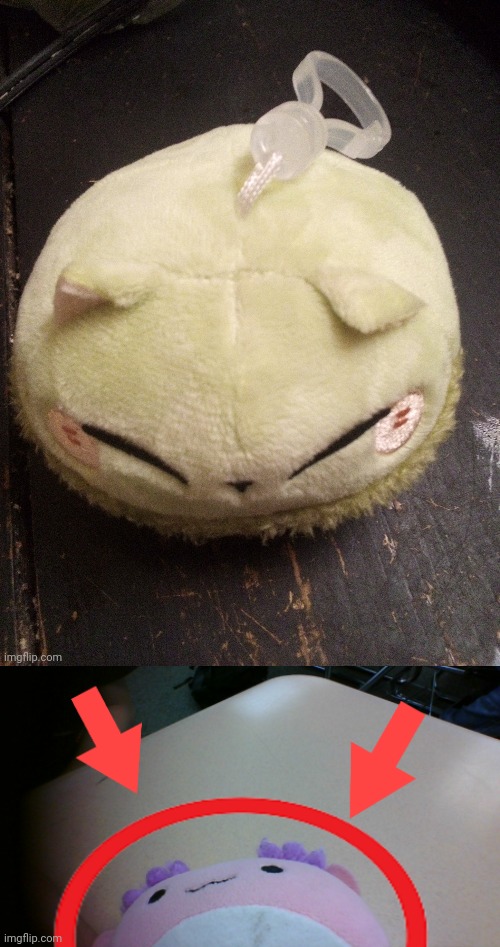 image tagged in monmon,axolotl circle | made w/ Imgflip meme maker