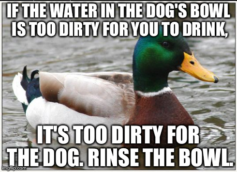 Actual Advice Mallard | IF THE WATER IN THE DOG'S BOWL IS TOO DIRTY FOR YOU TO DRINK, IT'S TOO DIRTY FOR THE DOG. RINSE THE BOWL. | image tagged in memes,actual advice mallard,AdviceAnimals | made w/ Imgflip meme maker