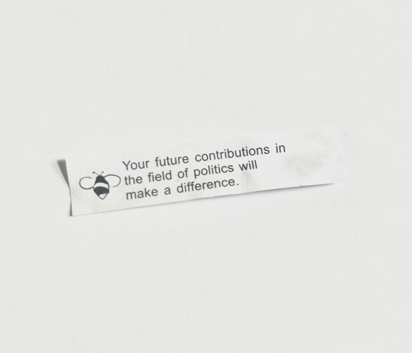 Political Fortune Blank Meme Template