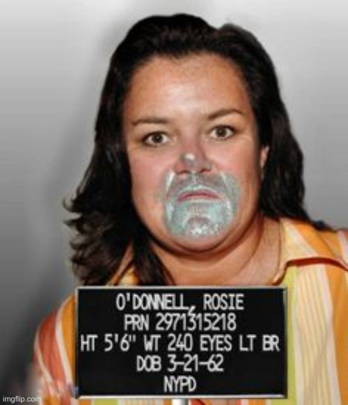 rosie odonell mugshot | image tagged in rosie odonell mugshot | made w/ Imgflip meme maker
