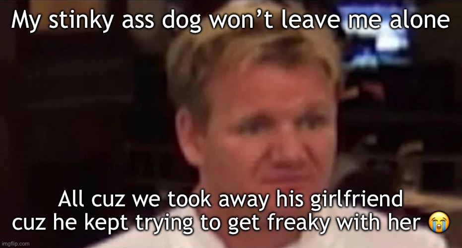 FUUUUUUUU | My stinky ass dog won’t leave me alone; All cuz we took away his girlfriend cuz he kept trying to get freaky with her 😭 | image tagged in disgusted gordon ramsay | made w/ Imgflip meme maker