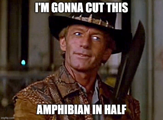 Crocodile Dundee Knife | I'M GONNA CUT THIS AMPHIBIAN IN HALF | image tagged in crocodile dundee knife | made w/ Imgflip meme maker