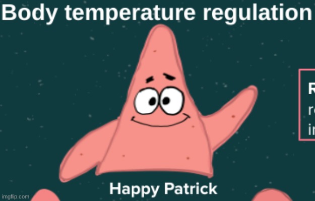 patrick in my biology class slides for some fucking reason: | made w/ Imgflip meme maker