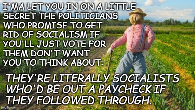 Scarecrow in field | I'MA LET YOU IN ON A LITTLE
SECRET THE POLITICIANS
WHO PROMISE TO GET
RID OF SOCIALISM IF
YOU'LL JUST VOTE FOR
THEM DON'T WANT
YOU TO THINK  | image tagged in scarecrow in field | made w/ Imgflip meme maker