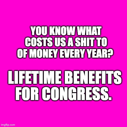 Lifetime Benefits | YOU KNOW WHAT COSTS US A SHIT TO OF MONEY EVERY YEAR? LIFETIME BENEFITS FOR CONGRESS. | image tagged in blank hot pink background,congress,benefits | made w/ Imgflip meme maker