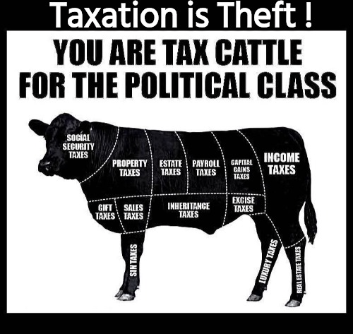 Tax Cattle Blank Meme Template