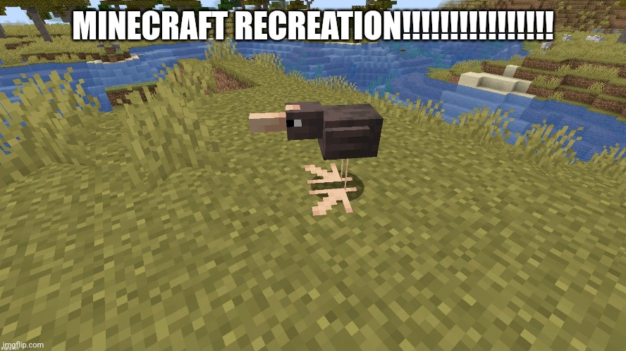 MINECRAFT RECREATION!!!!!!!!!!!!!!!! | made w/ Imgflip meme maker